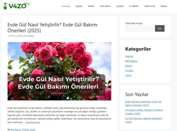 v4zo.com