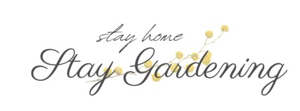 Stayhomestaygardening.com Tanıtım Yazısı