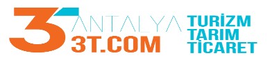 Antalya3t.com Tanıtım Yazısı