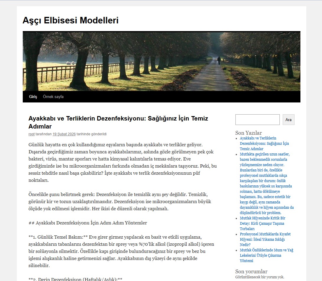 Ascielbisesimodelleri.com.tr Tanıtım Yazısı 1 ascielbisesimodelleri.com .tr