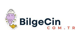 Bilgecin.com.tr Tanıtım Yazısı