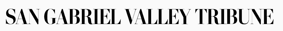 Sgvtribune.com Tanıtım Yazısı
